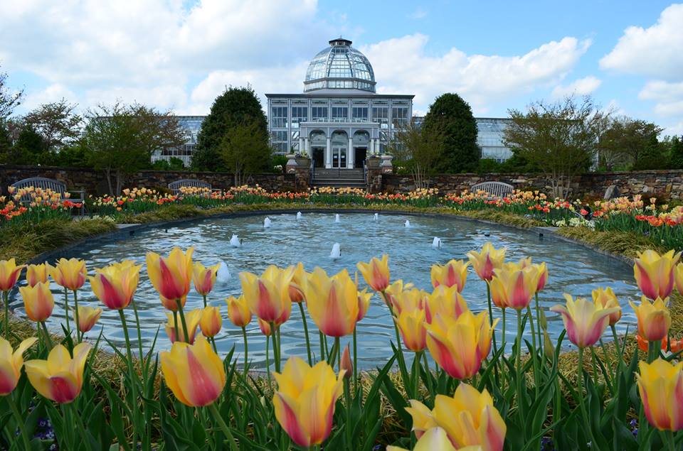 Enjoy a Show of Nature Journals in the Library - Lewis Ginter Botanical  Garden