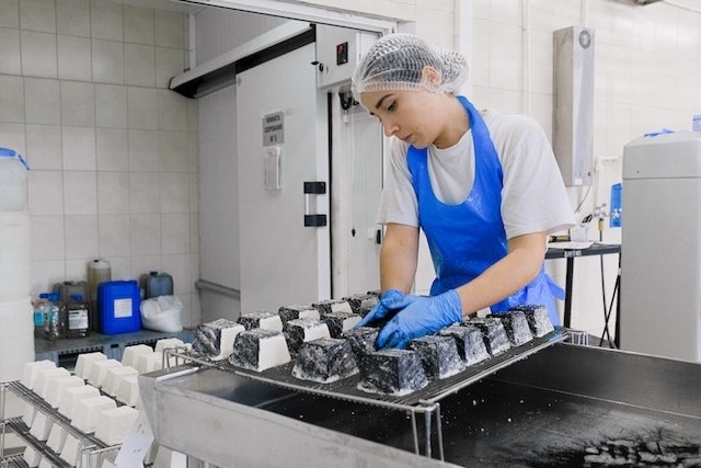 Worker using cheese molds in a food manufacturing facility