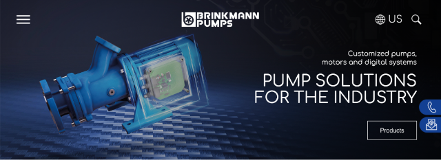 Brinkmann Pumps Inc.