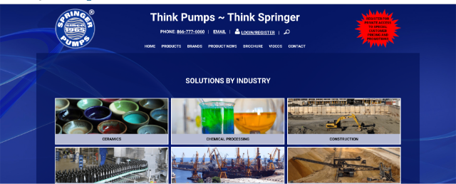 Springer Pumps